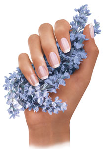 alessandro nailspa